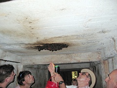 CairnsTC450 Paronella Park